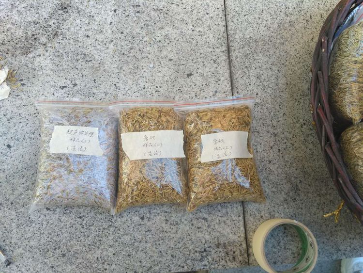“超聲波處理對稻谷表面微生物的影響”發(fā)表論文啦??！