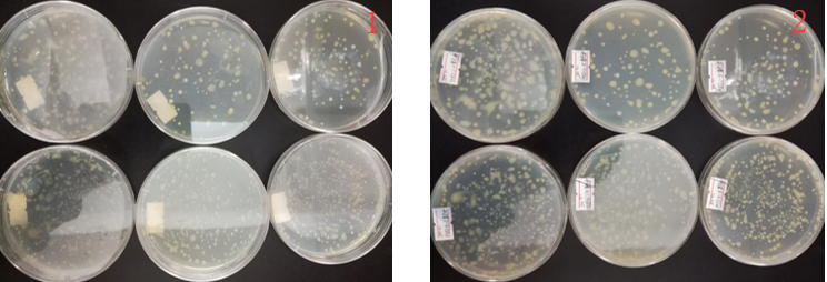 “超聲波處理對(duì)稻谷表面微生物的影響”發(fā)表論文啦！！