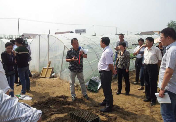 江蘇射陽利農(nóng)農(nóng)業(yè)發(fā)展有限公司