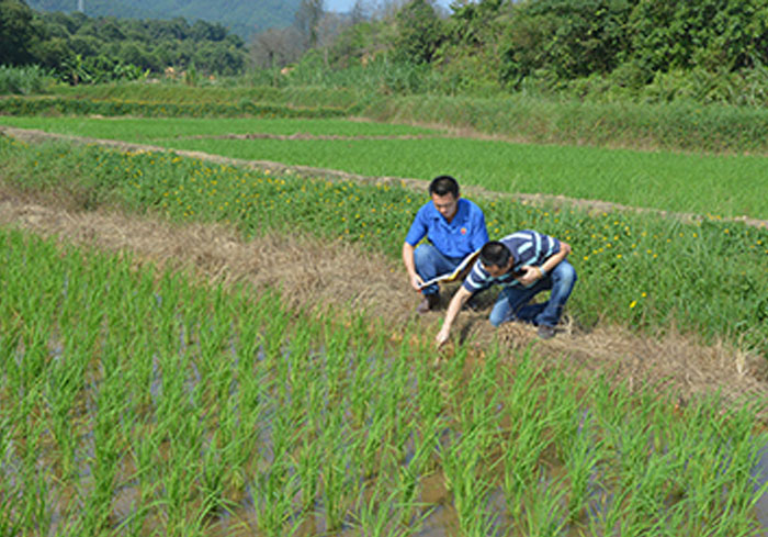 從化鰲頭試驗(yàn)基地