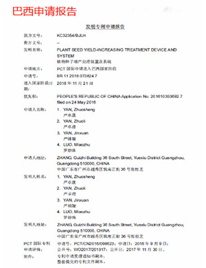 巴西申請(qǐng)報(bào)告