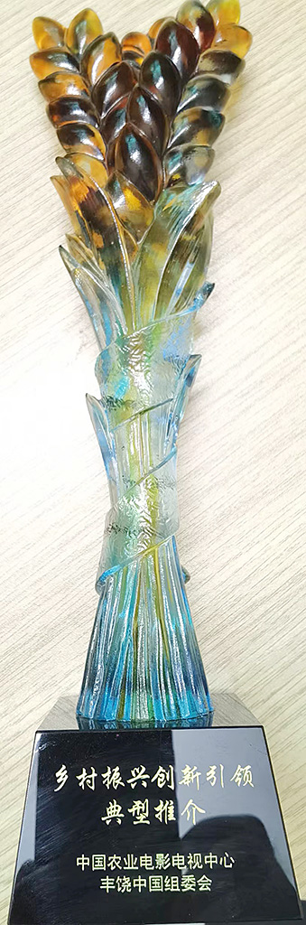 鄉(xiāng)村振興創(chuàng)新引領典型推薦